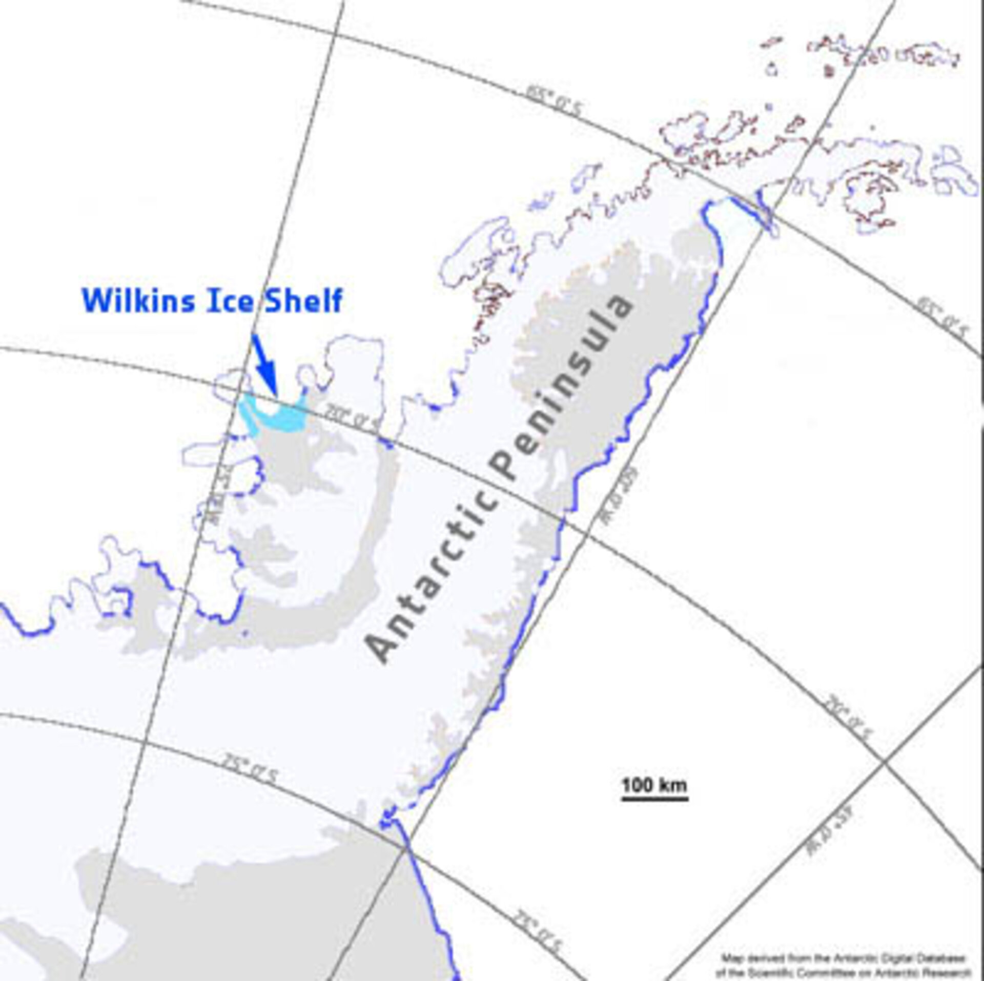 Wilkins Ice Shelf