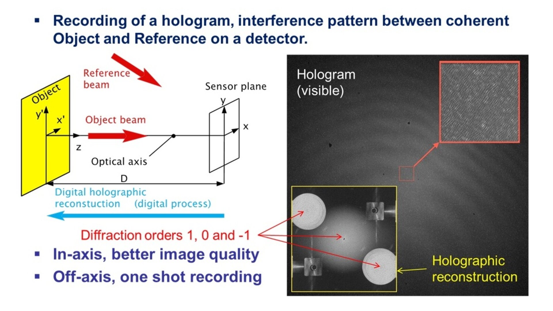 digital holography thesis