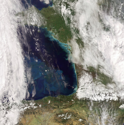 Phytoplankton bloom in the Bay of Biscay