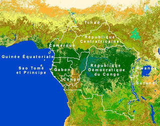 GlobCover map of COMIFAC member states