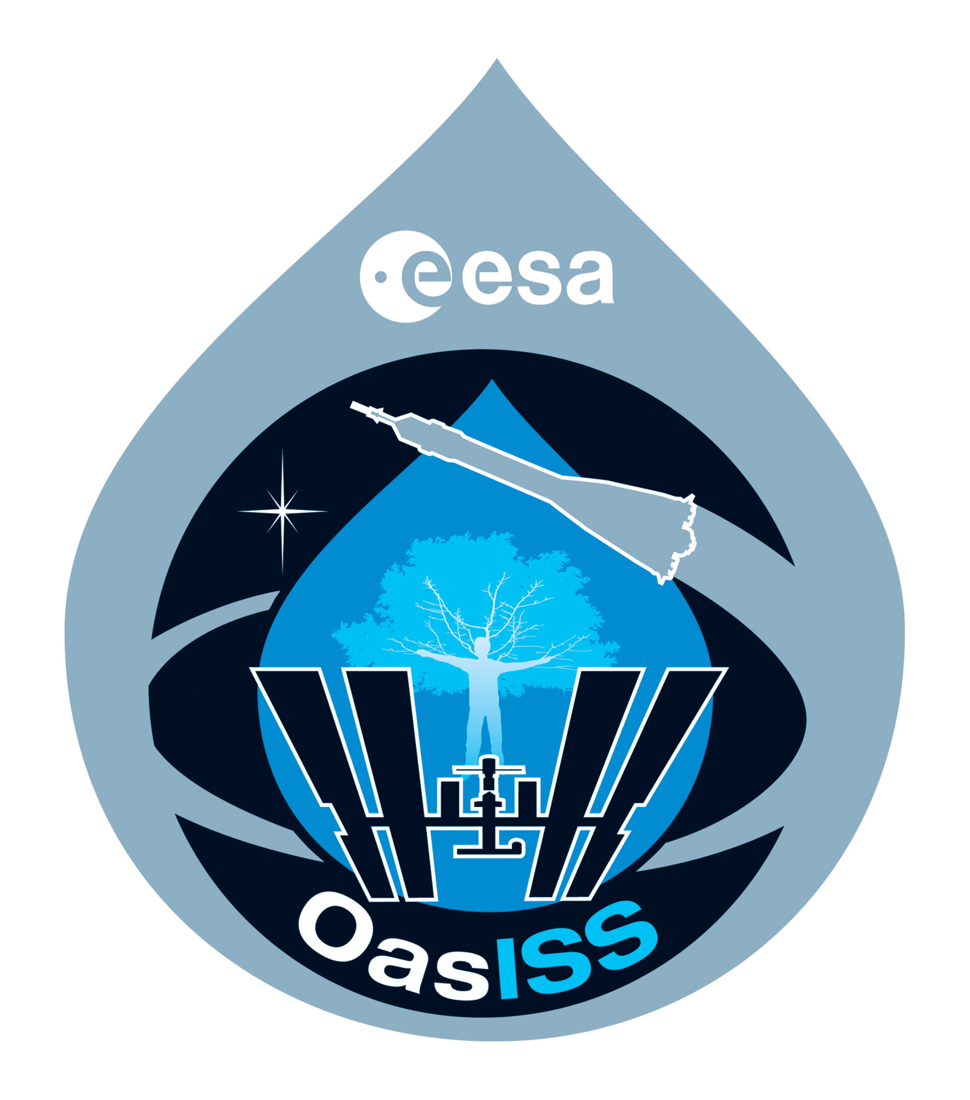 Soyuz TMA-15, OasISS mission patch, 2009