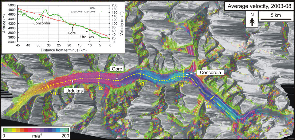 Surface velocity field for the Baltoro Glacier