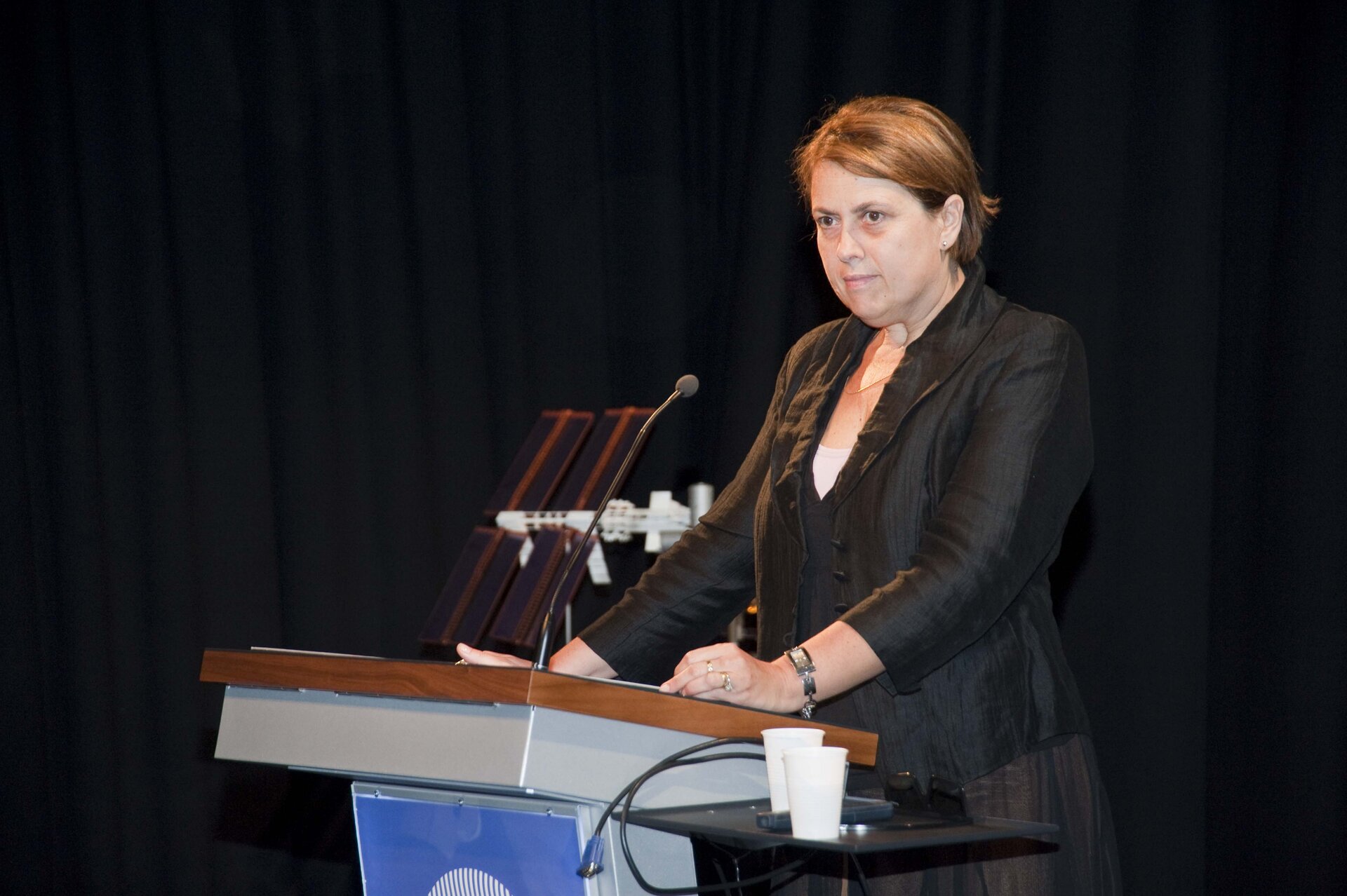 ESA Director of Human Spaceflight, Simonetta De Pippo.