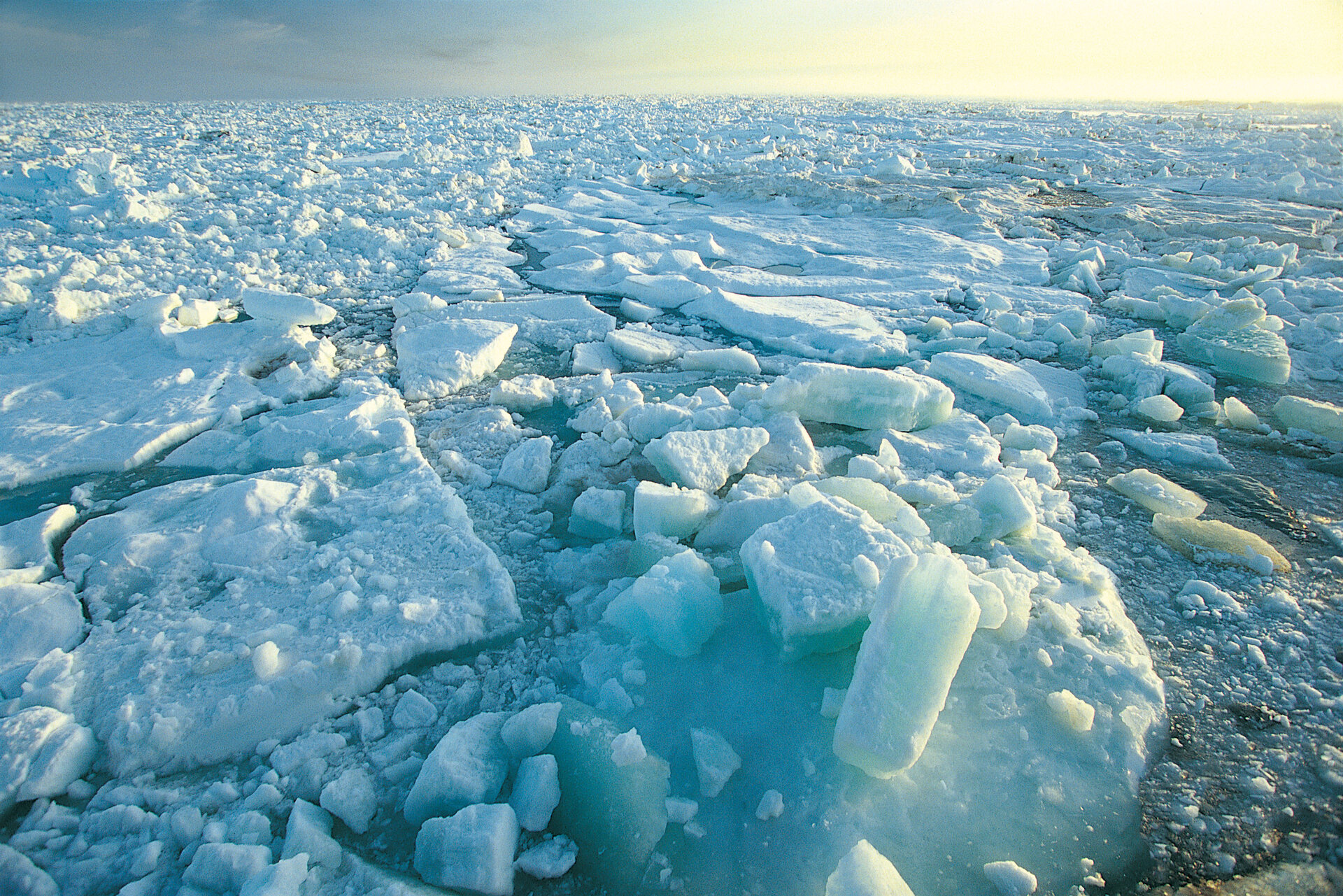 Ice plays a crucial role in regulating climate