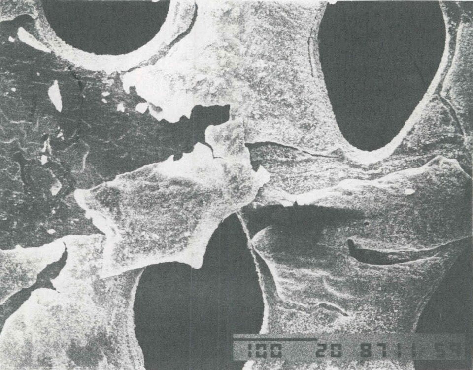 Atomic oxygen erosion