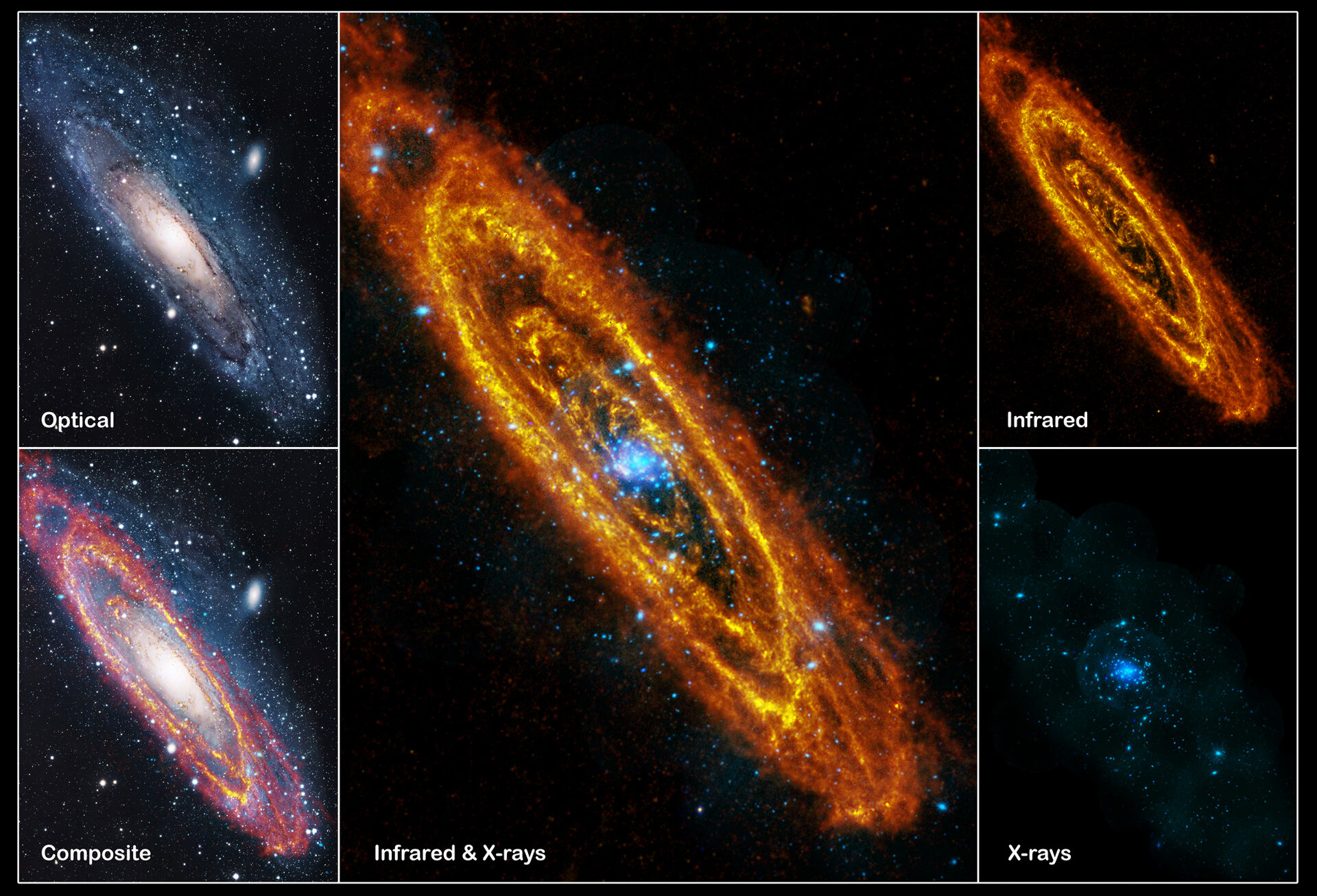 Andromeda: lähin suuri galaktinen naapurimme eri aallonpituuksilla