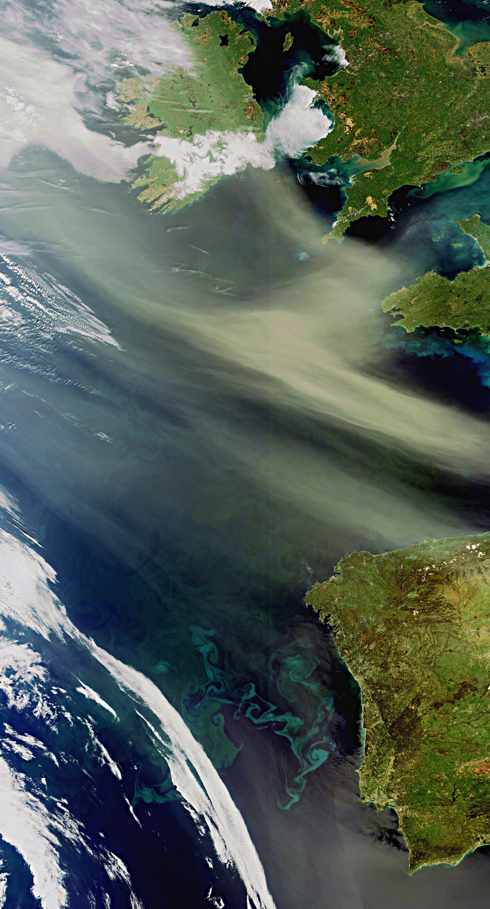 Dust and plankton in the Atlantic