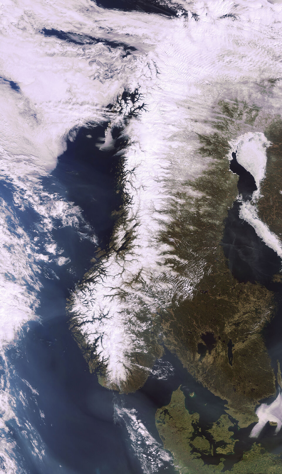 Scandinavia in spring (MERIS)