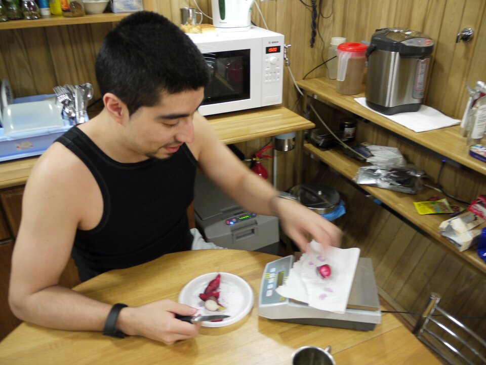 Sharing fresh radish with precision