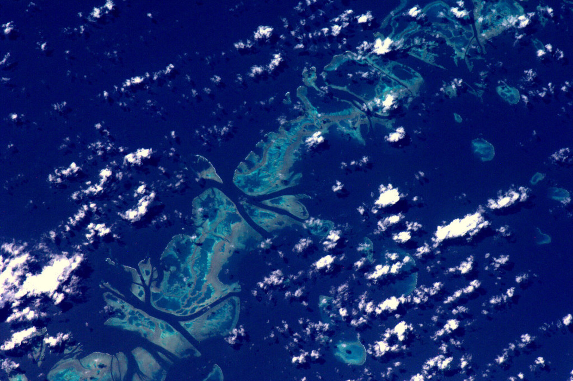 The Great Barrier Reef as seen from space