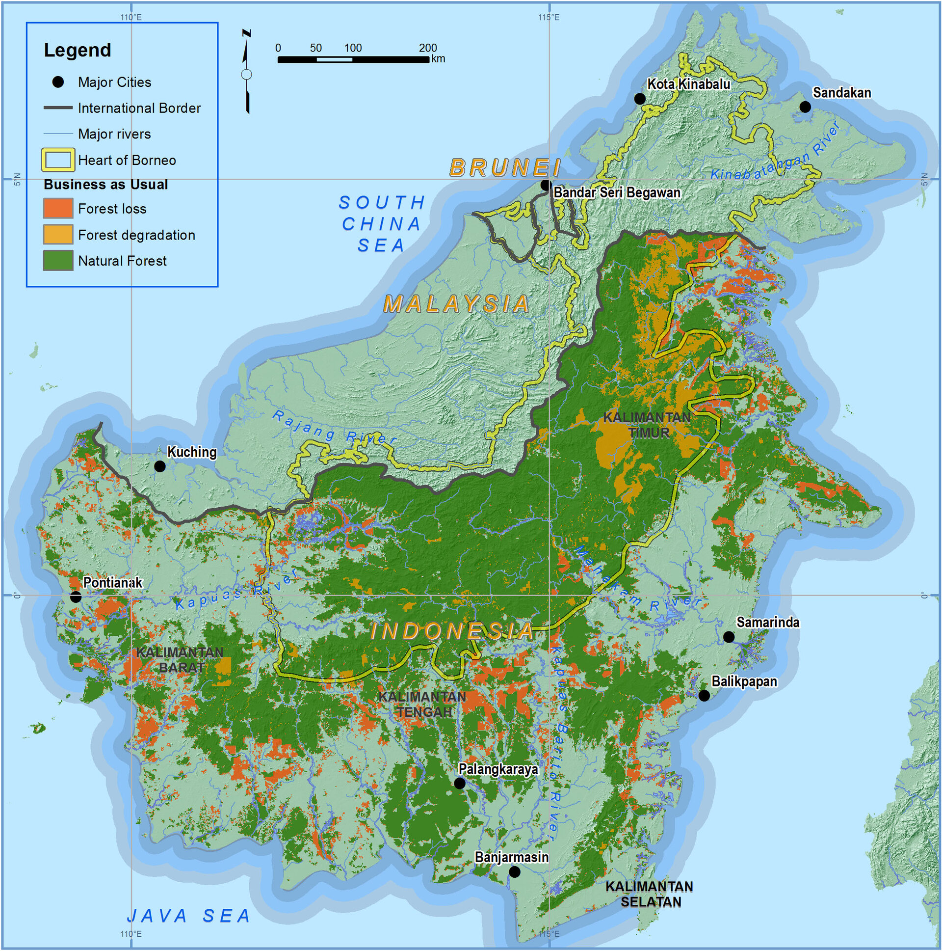 Forest cover change