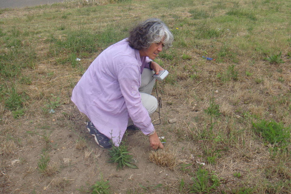 Measuring soil moisture