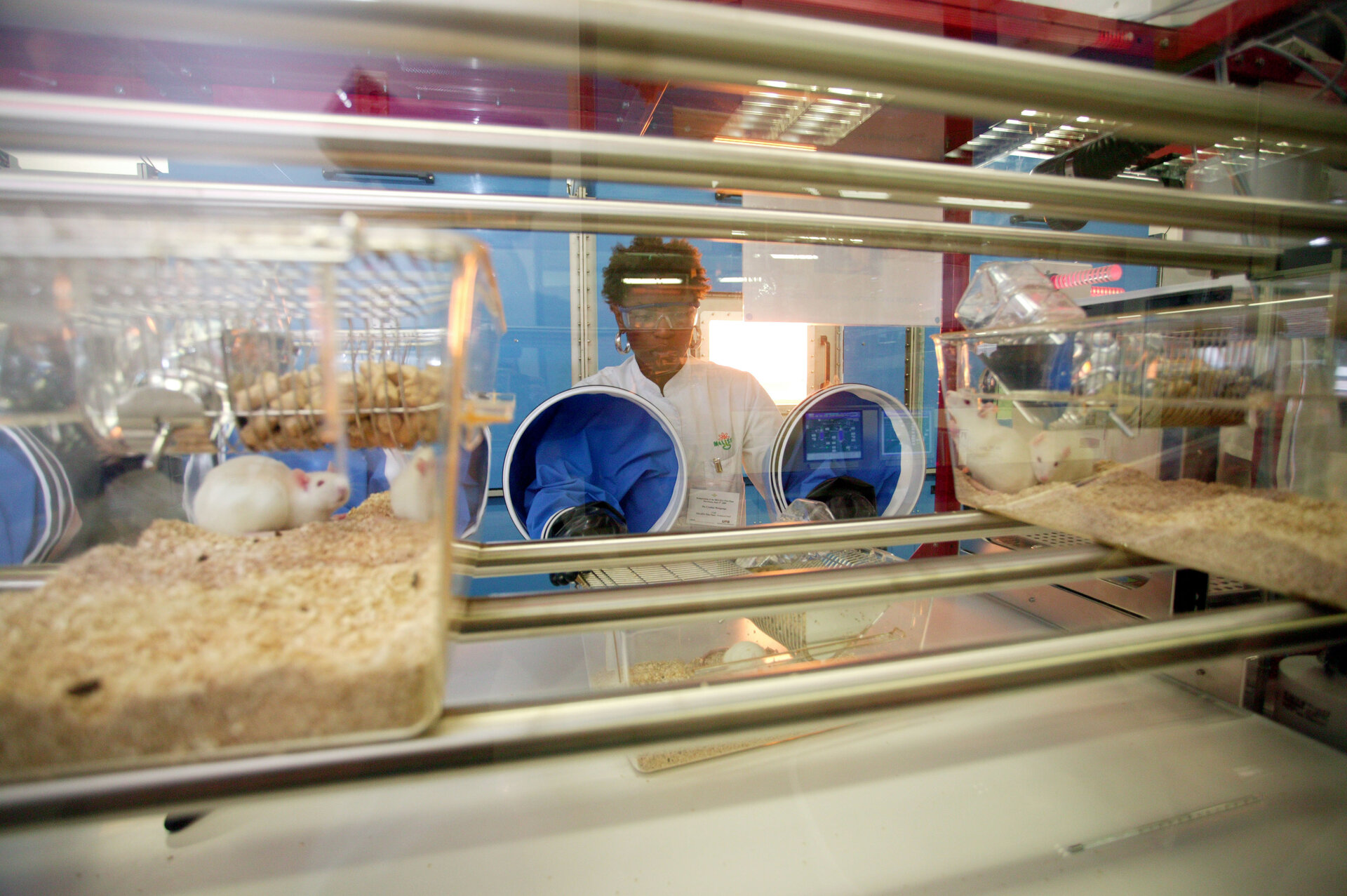 A view inside the MELiSSA pilot plant at the University Autònoma of Barcelona