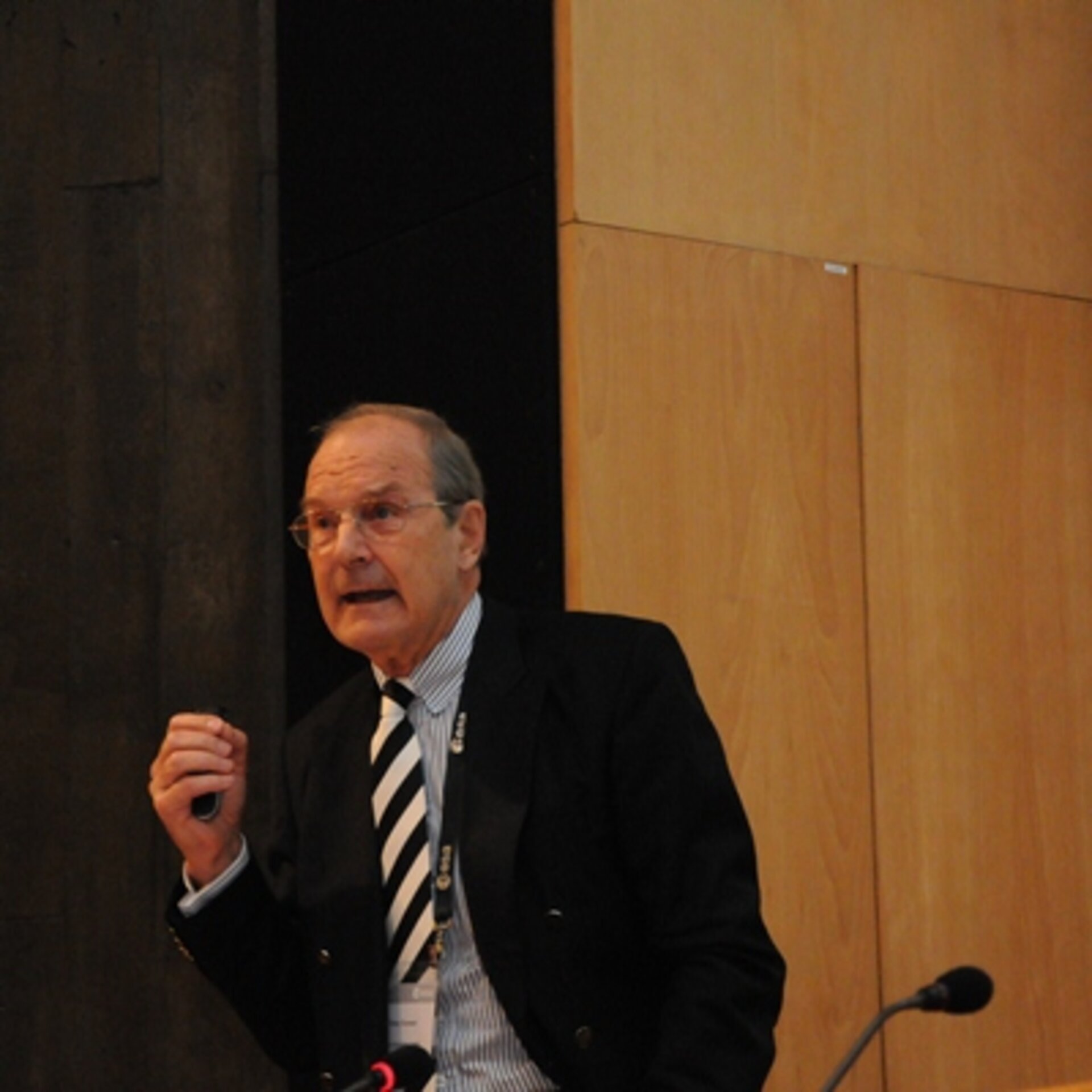 Professor Heinz Stoewer addresses the workshop