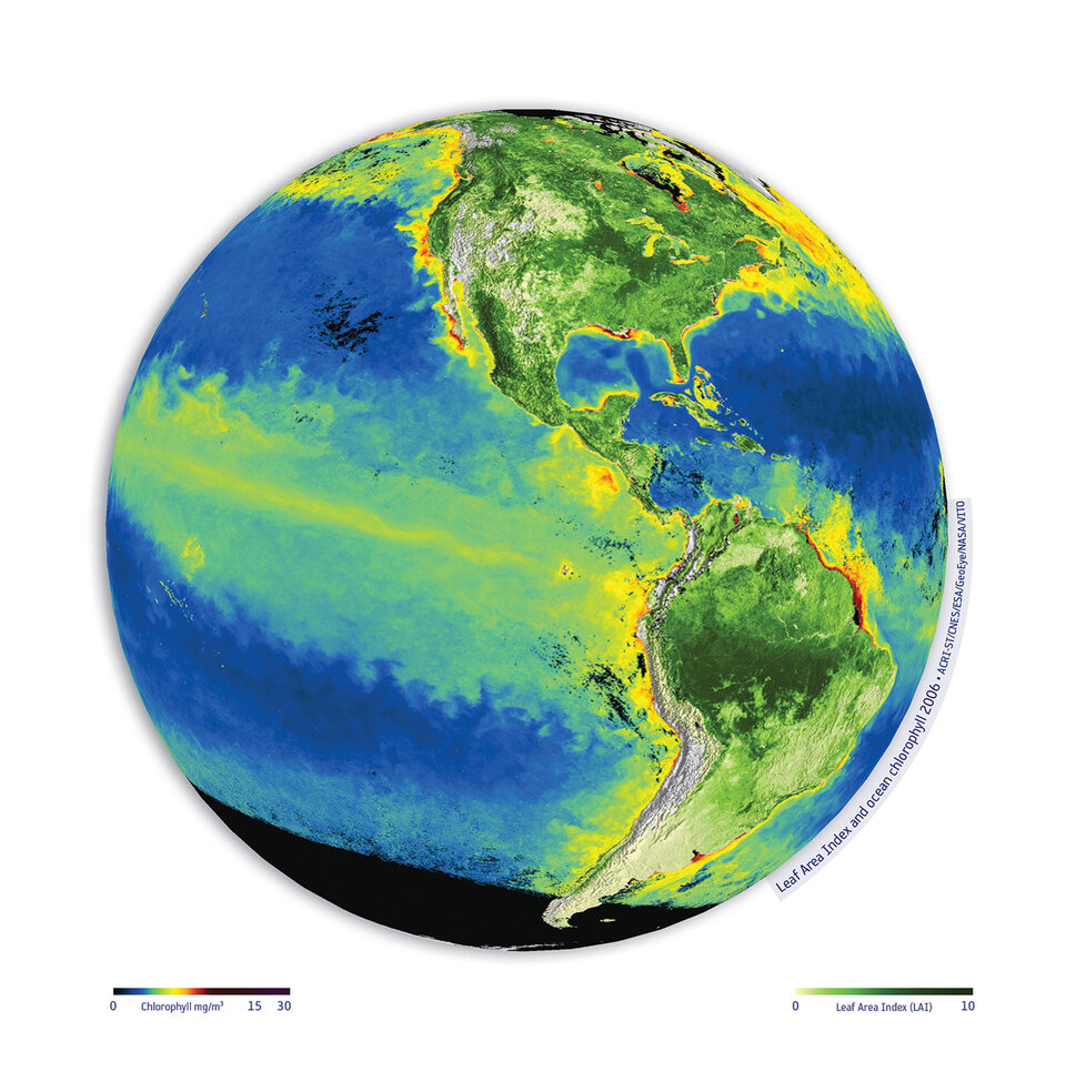 Global ocean chlorophyll and leaf area index