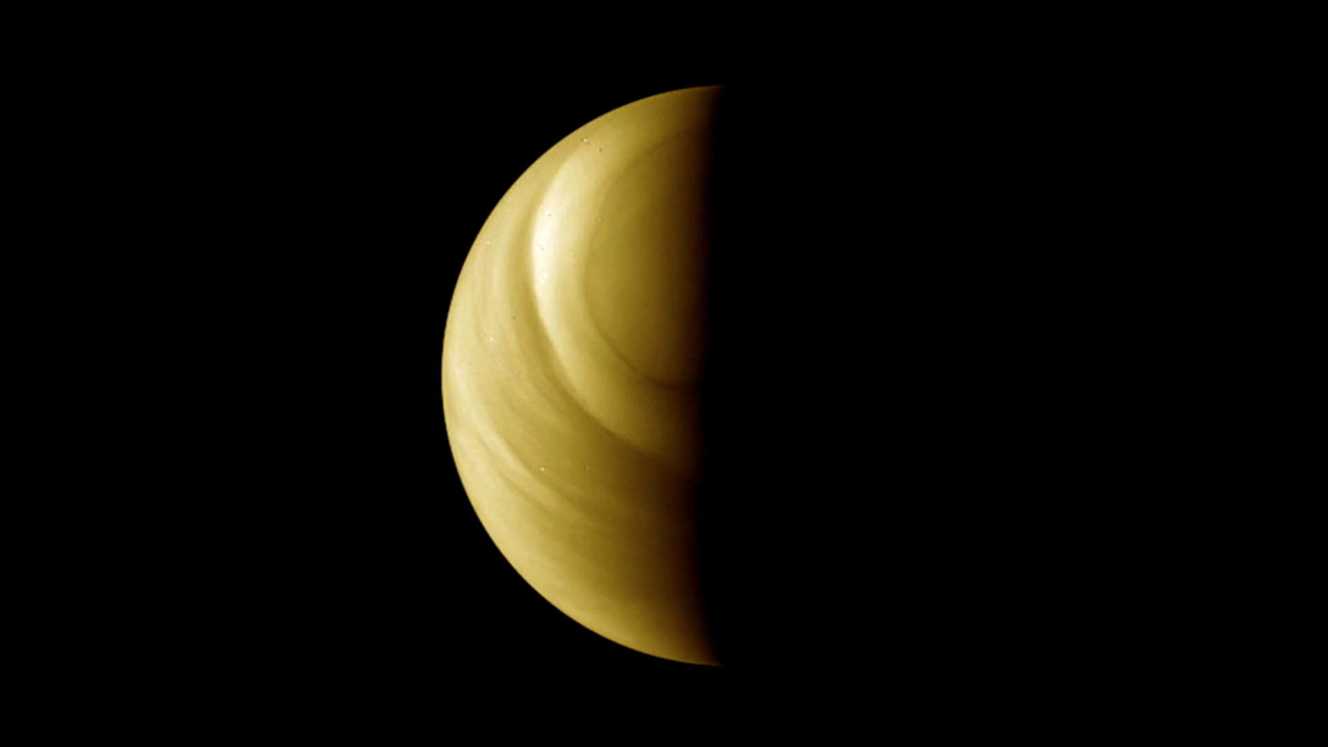 Die Venus, aufgenommen mit der Venus Monitoring Camera