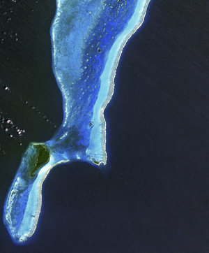 The Lighthouse Atoll in the Belize Barrier Reef