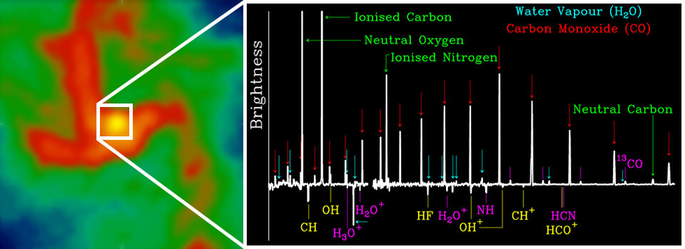 Molecules on the menu at the Milky Way’s black hole