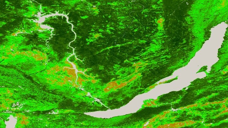 Detailierte Aufnahmen der Biomasse über Russland