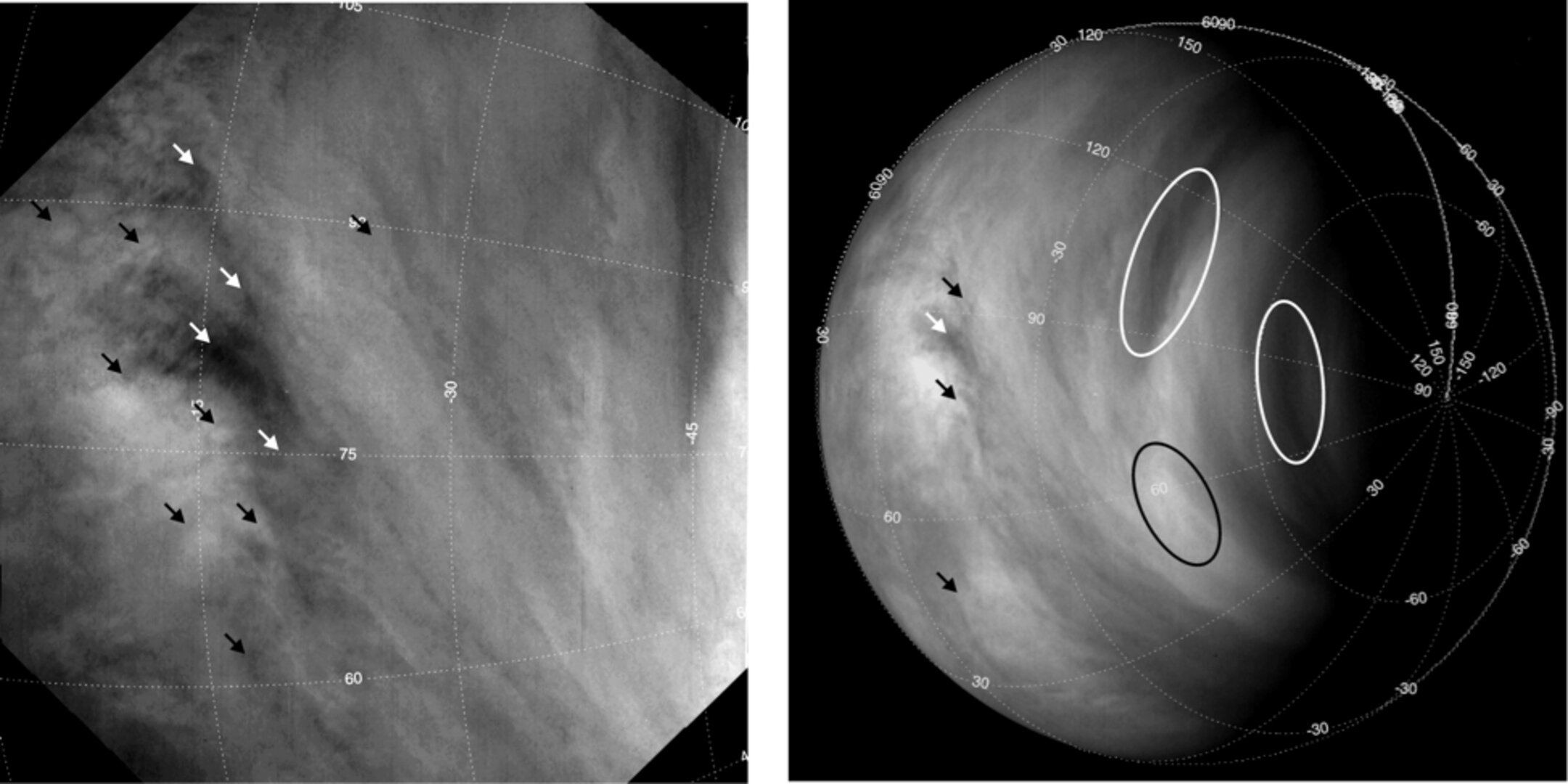 Tracking clouds on Venus