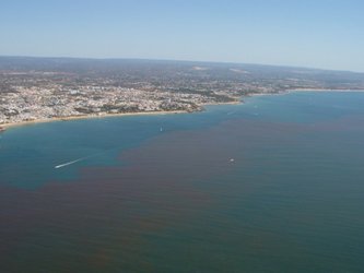 Aerial view of red tide of the Portuguese coast