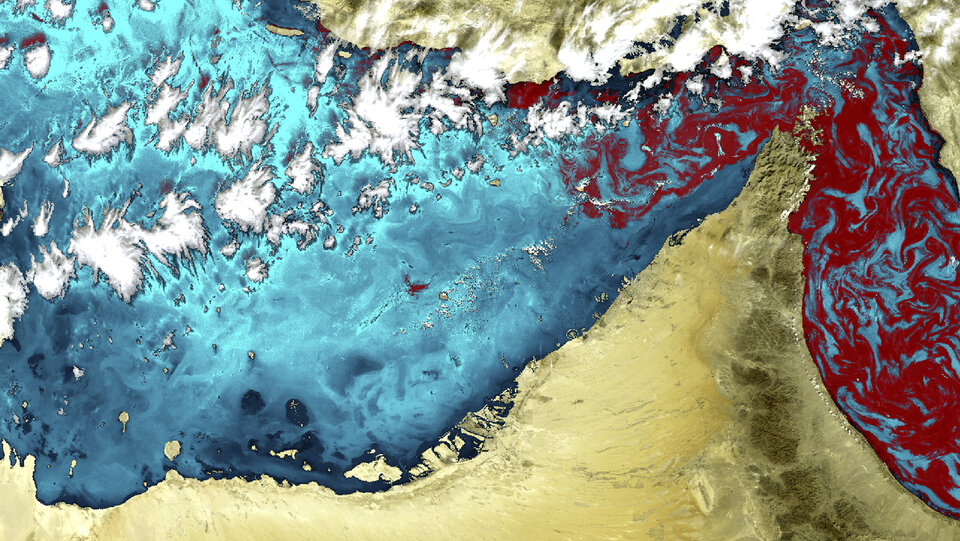 A red tide detected by satellites