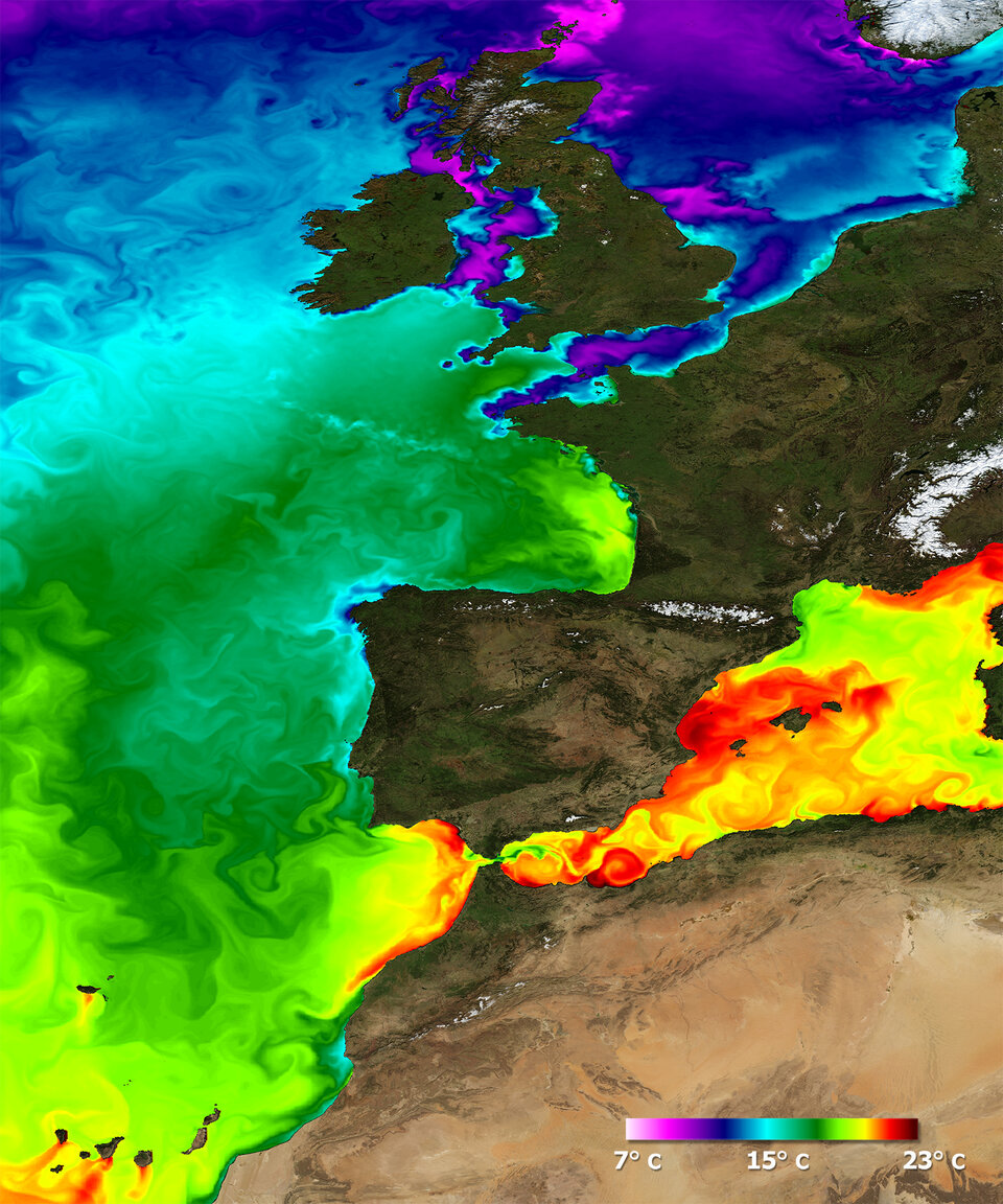 Sea Surface Temperatures