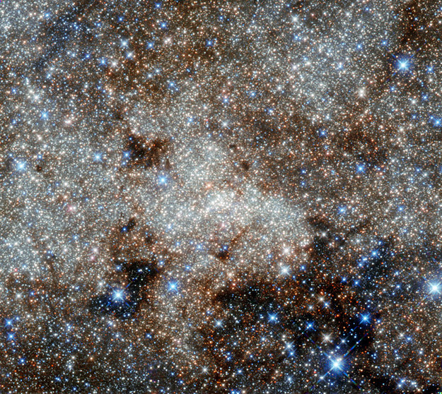 Milky Way stars. Credit: NASA/ESA & G. Brammer