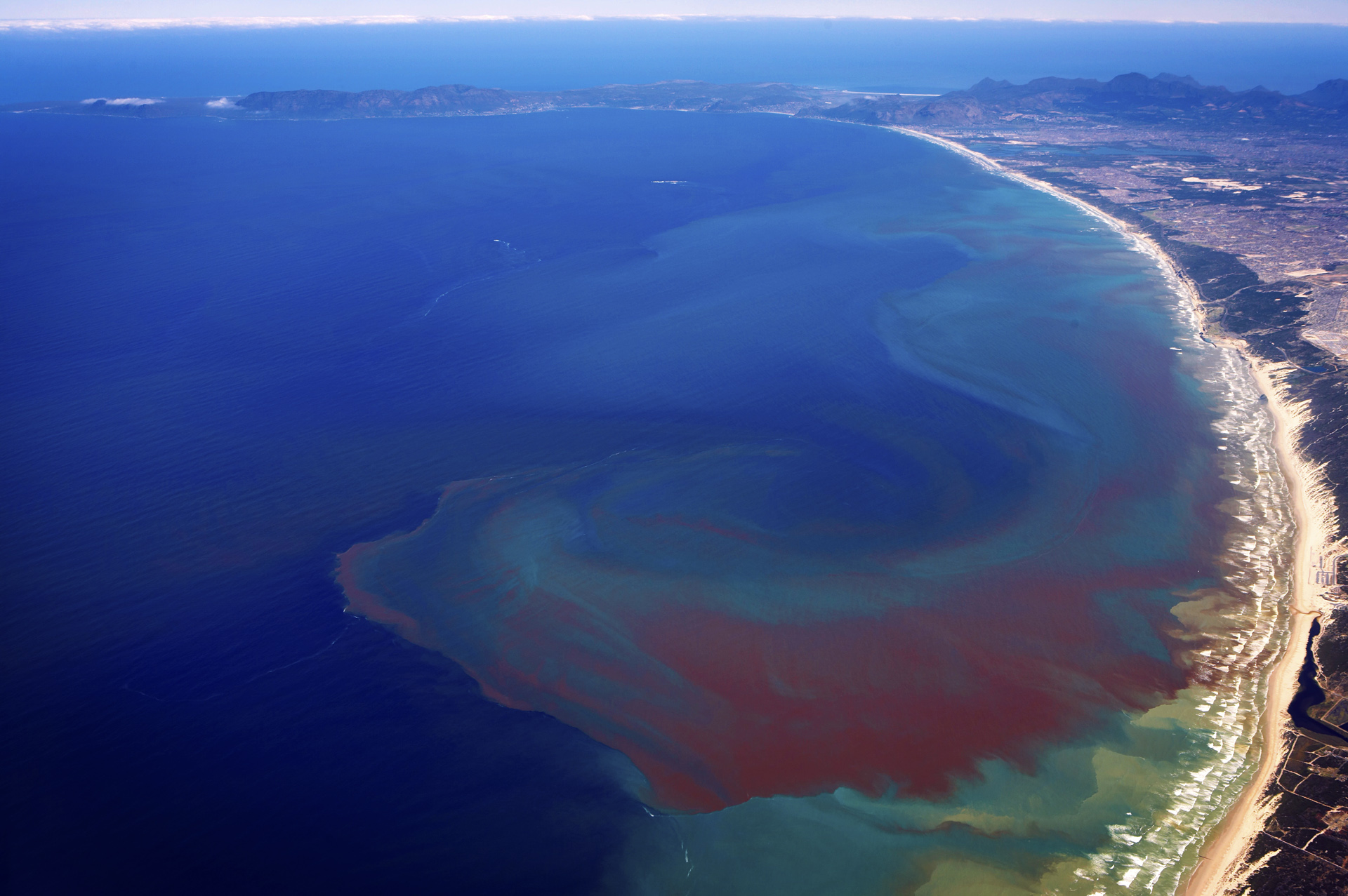 Следы в красном море. Красное море цветение водорослей. Красный прилив Флорида. Мексиканский залив, Флорида, США. Водоросли красный прилив.