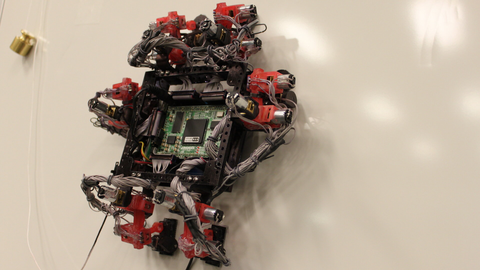 ‘Abigaille’ wall-crawler robot