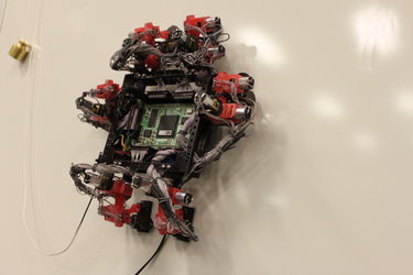 ‘Abigaille’ wall-crawler robot