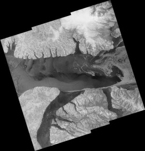 Simulated Sentinel-1 image