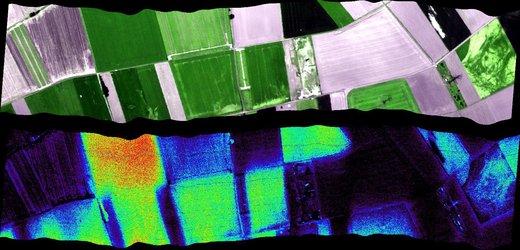 Fluorescence from different vegetation