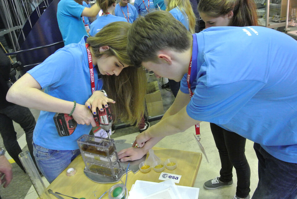 Alzon students preparing their experiment for the drop