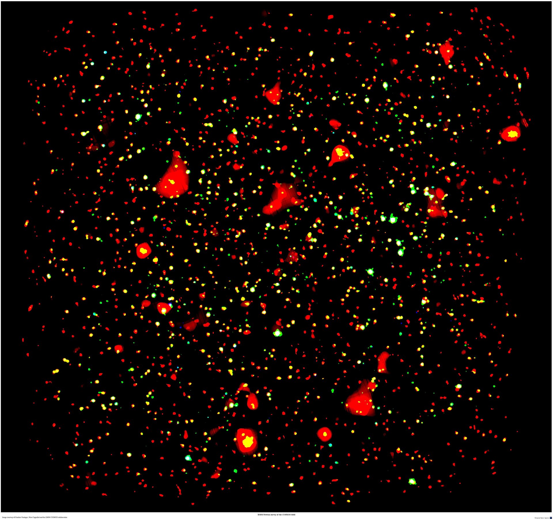 An X-ray view of the COSMOS field