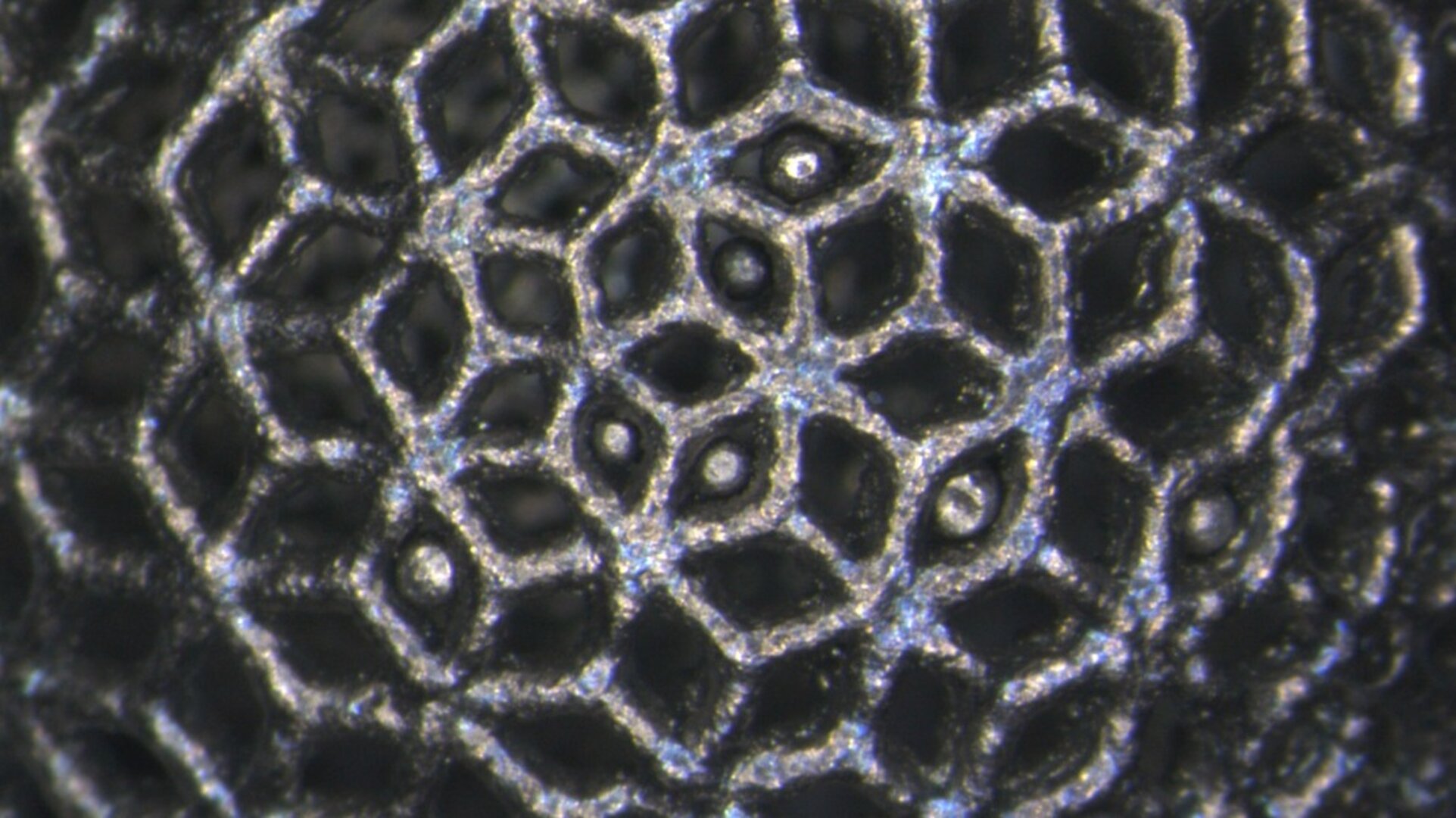 Close-up of 3D-printed titanium lattice ball