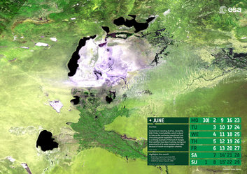 Aral Sea