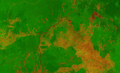 Proba-V image of western Brazil