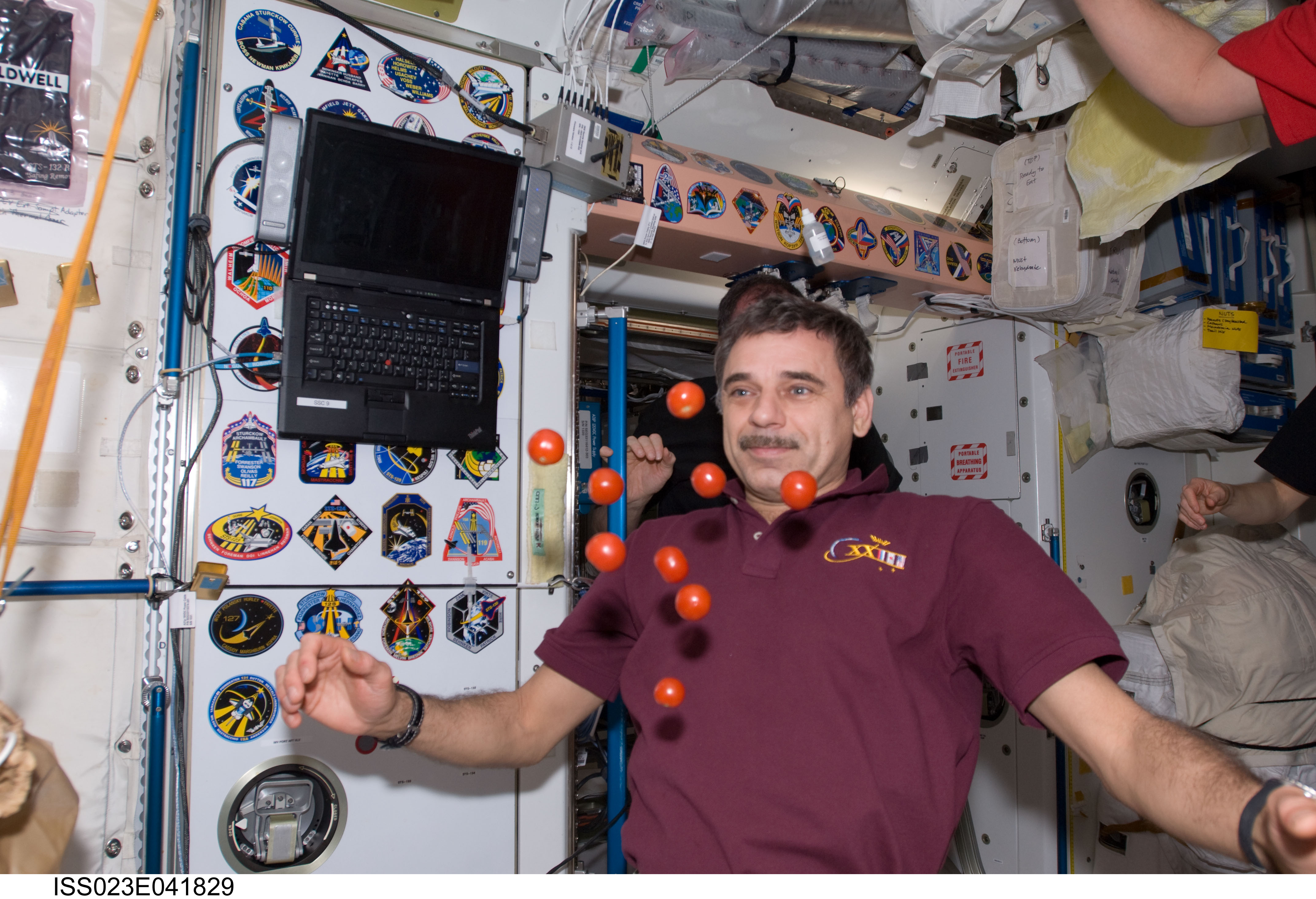 Сколько станций в космосе сейчас. Жизнь Космонавтов на МКС.