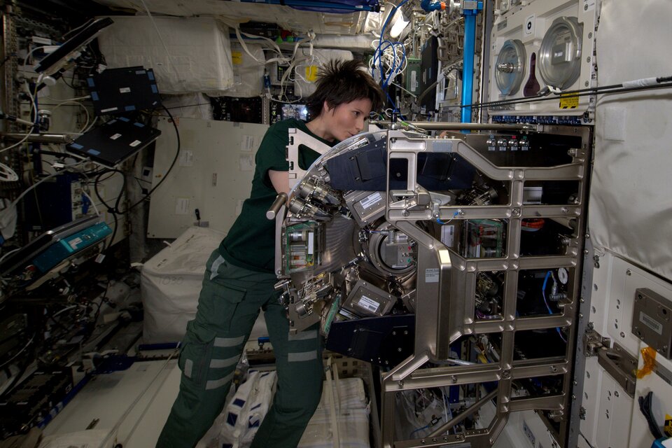 Maintaining Biolab on Station