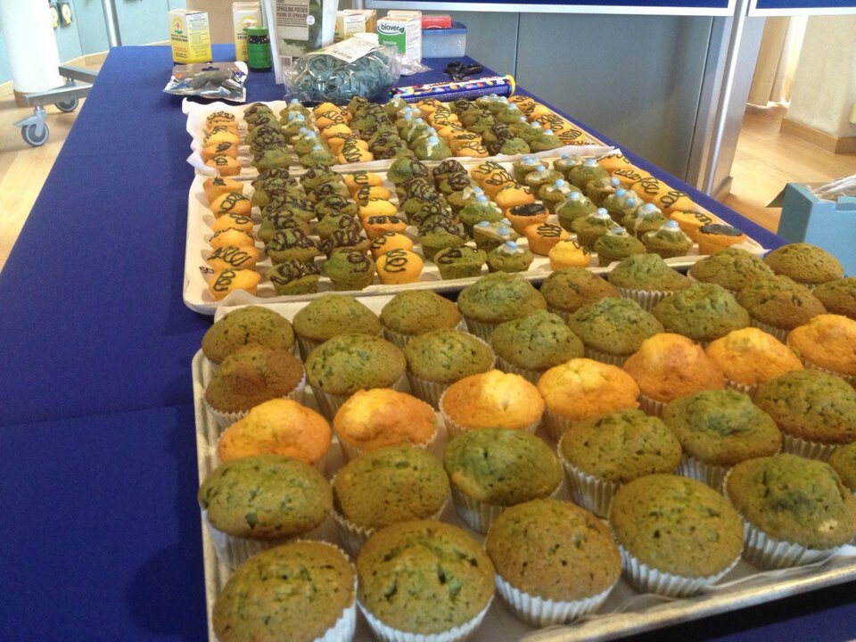 Healthy Spirulina-based muffins 