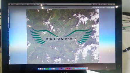 Viridian Raven