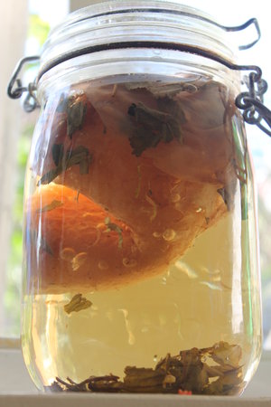 Kombucha tea brewing