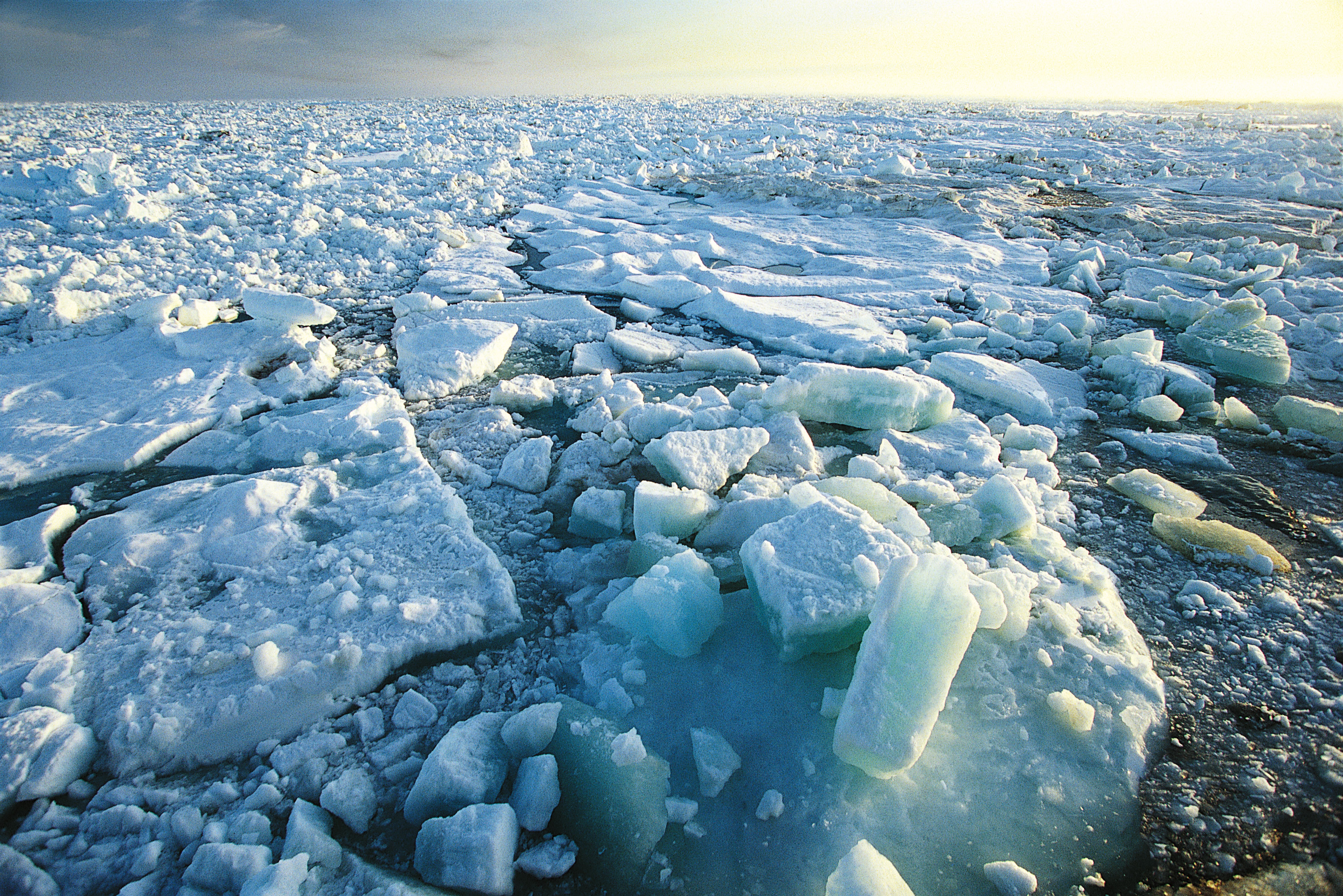 Океан покрытый льдом. Вечная мерзлота Арктика. Многолетняя мерзлота в Арктике. Северный Ледовитый океан Восточно-Сибирское море. Многолетняя (Вечная) мерзлота.