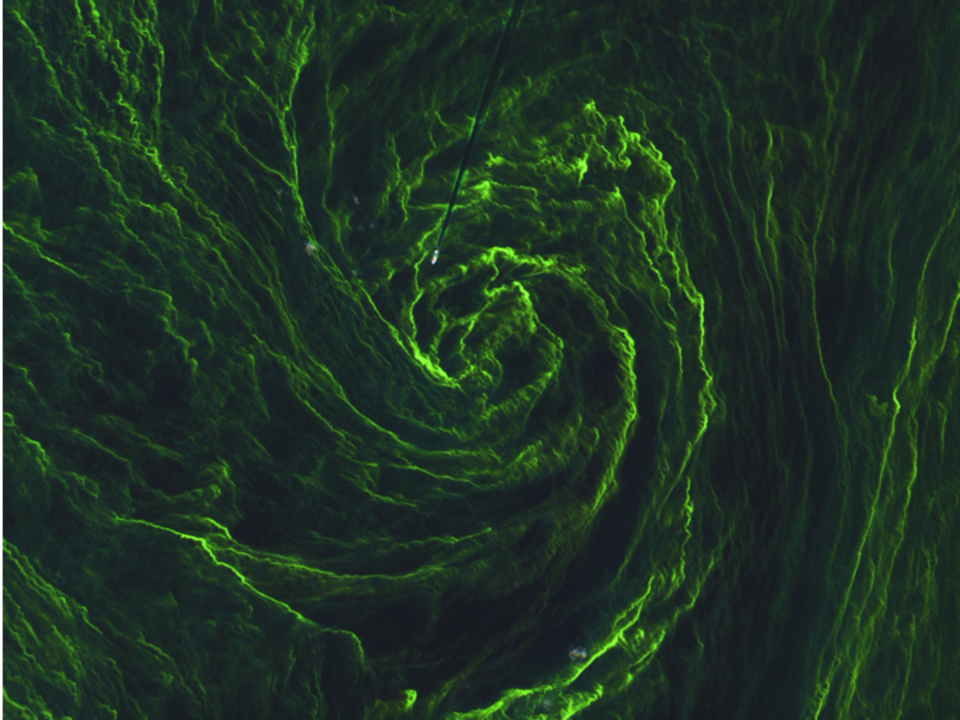 Eye of an algal storm