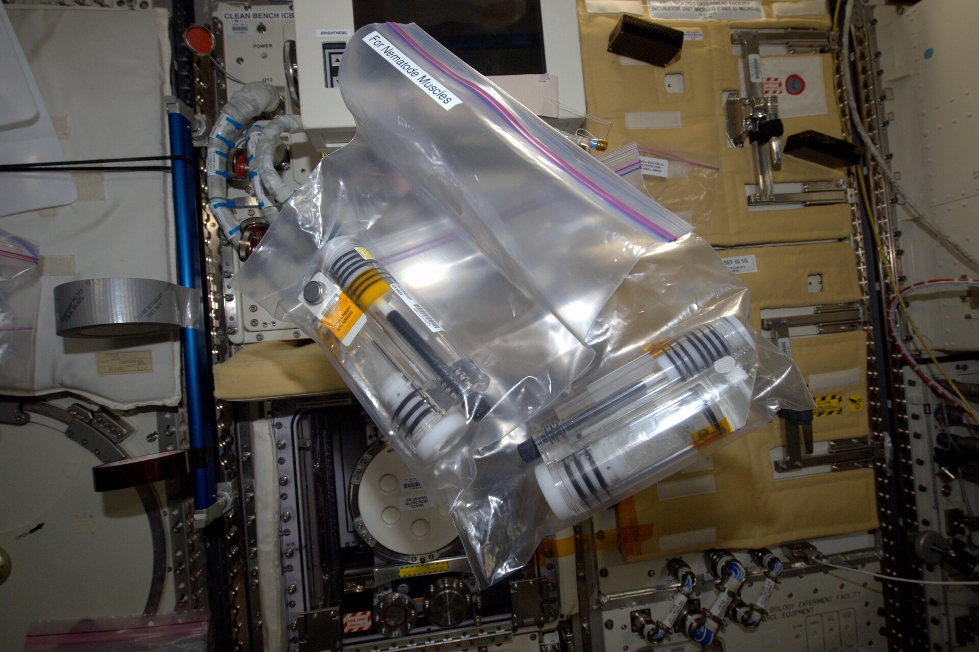 Triplelux tubes in space