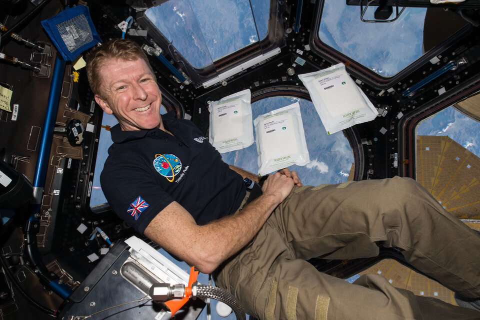Tim Peake with the salad seeds aboard the International Space Station