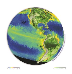 Mapping growth