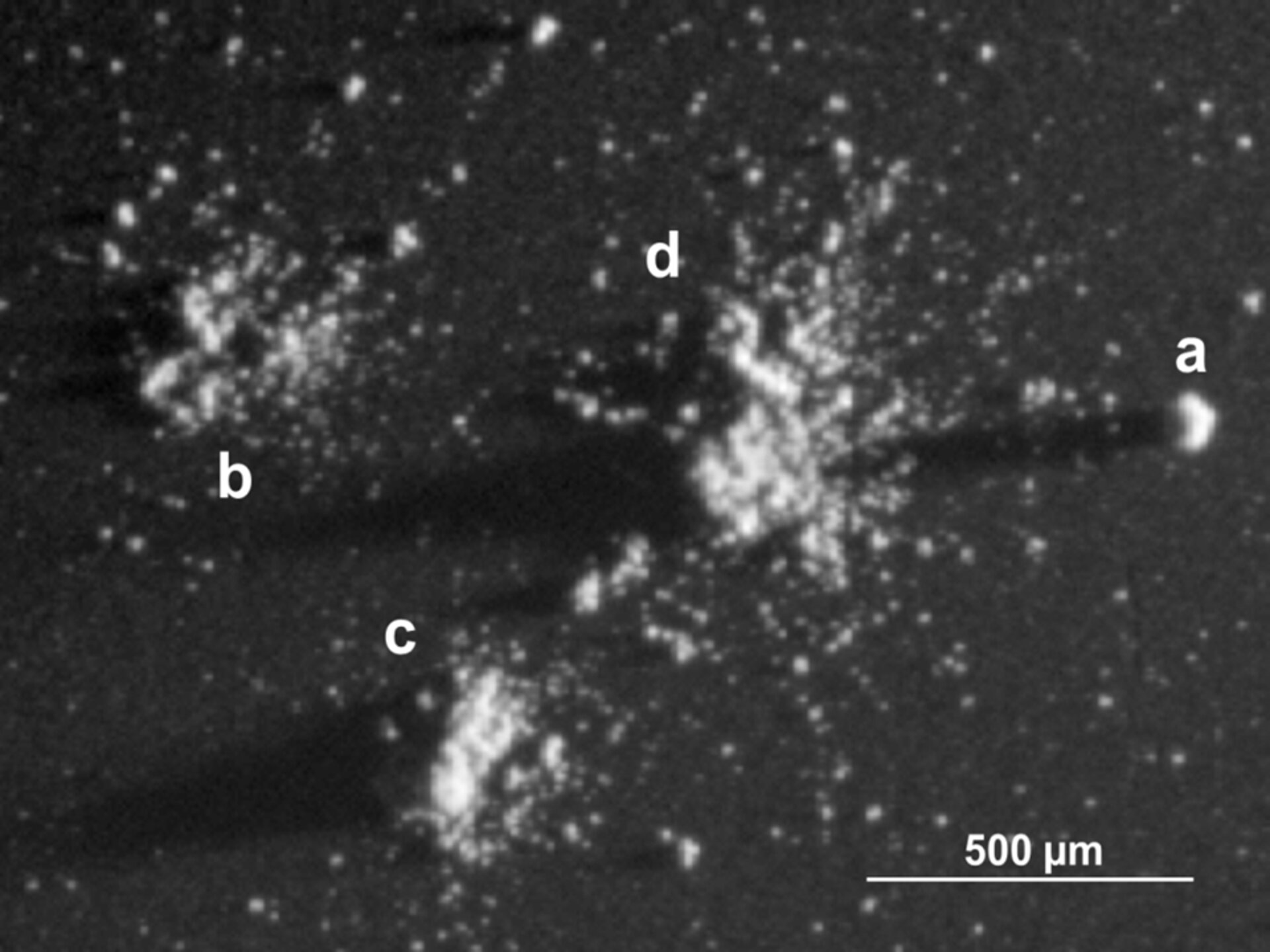 Comet dust particles