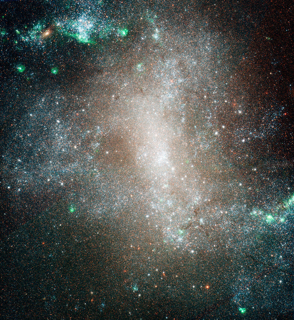 Host galaxy NGC 1313